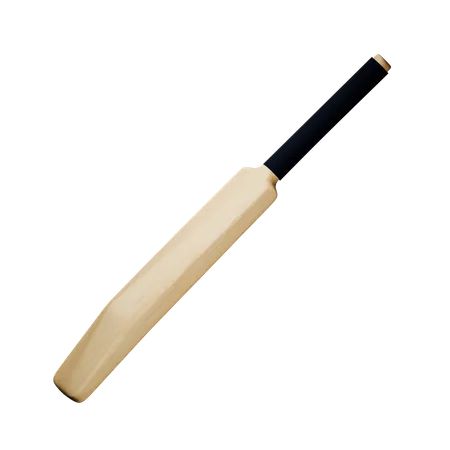 Cricket Bat  3D Icon