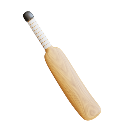 Cricket Bat  3D Icon