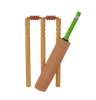 Cricket bat