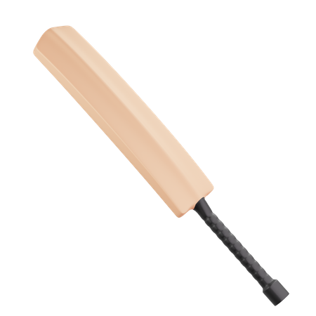 Cricket Bat  3D Icon