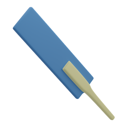 Cricket Bat  3D Icon