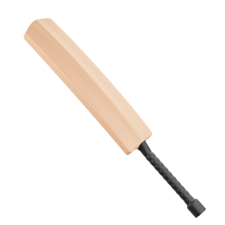 Cricket Bat  3D Illustration