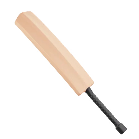 Cricket Bat  3D Illustration