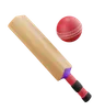 Cricket Bat