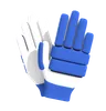 Cricket gloves