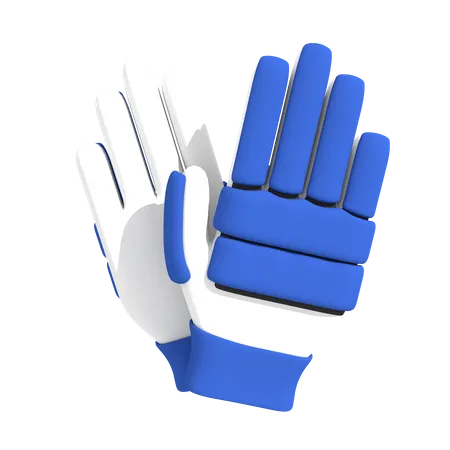 Cricket gloves  3D Icon