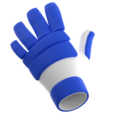 Cricket Gloves  3D Icon
