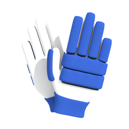 Cricket-Handschuhe  3D Icon