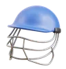 Cricket Helmet