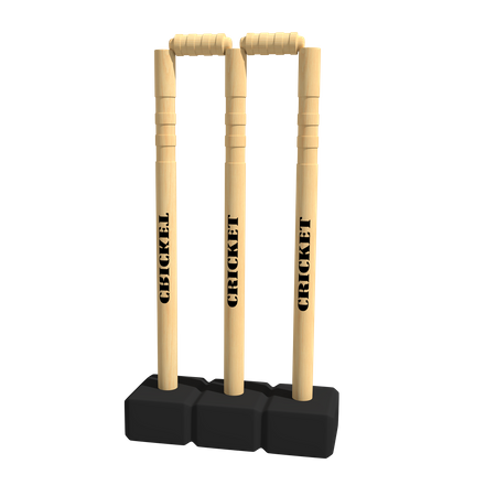 Cricket stump  3D Icon