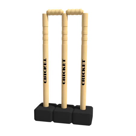 Cricket stump  3D Icon