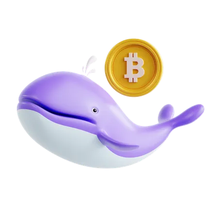 Ballena criptográfica  3D Icon