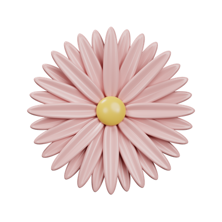 Crisantemo  3D Icon