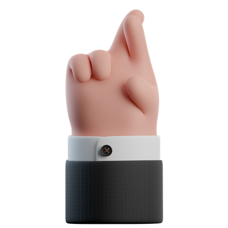 Croisons les doigts, gestes de la main  3D Icon