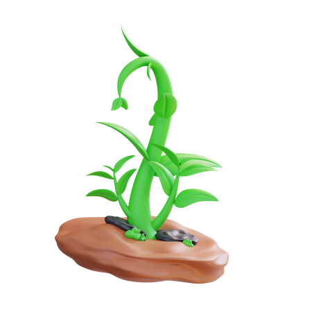 Croissance des plantes  3D Icon