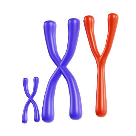 Cromosoma  3D Icon