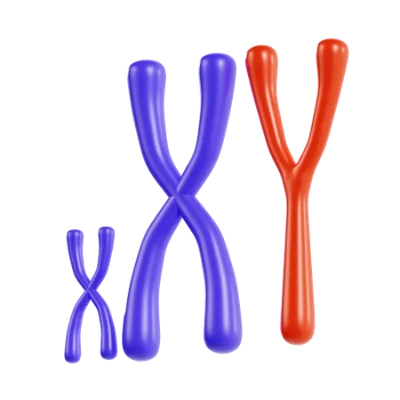 Cromossoma  3D Icon