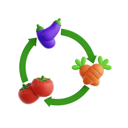 Crop Rotation Diagram  3D Icon