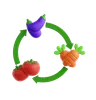 Crop Rotation Diagram