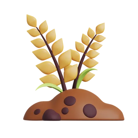 Crops  3D Icon