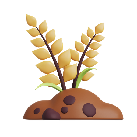 Crops  3D Icon