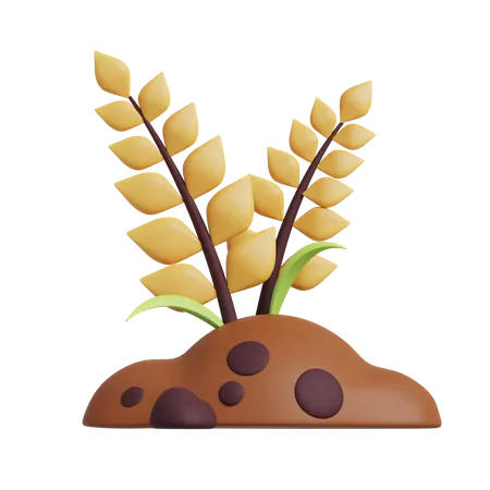 Agriculture 3 D Illustrations 3D Icon