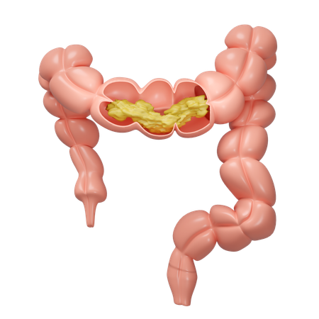 Cross Section  3D Icon