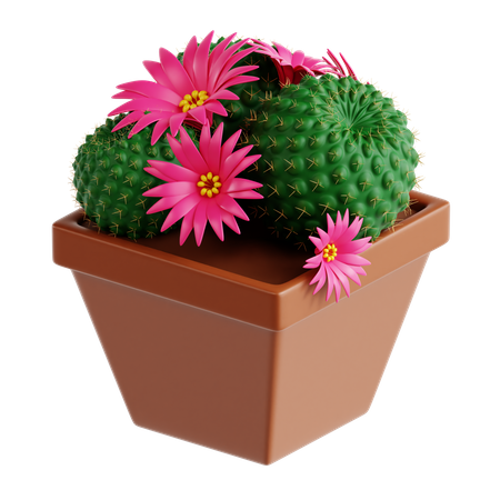 Crown Cactus  3D Icon