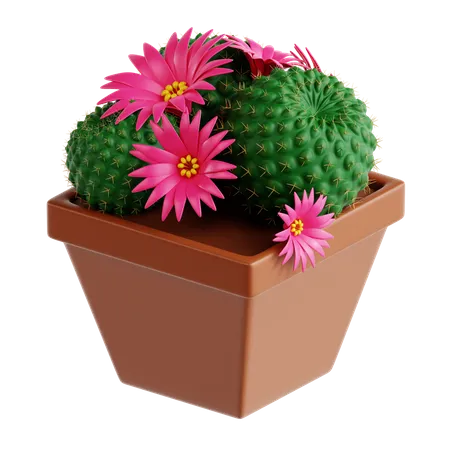 Crown Cactus  3D Icon