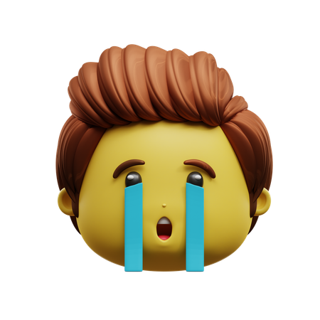 Crying Face Emoji  3D Icon