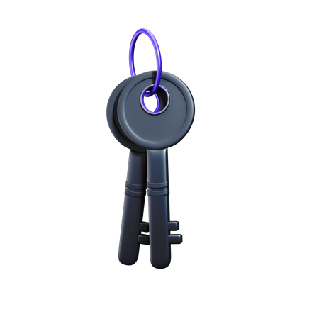 Crypto key  3D Icon