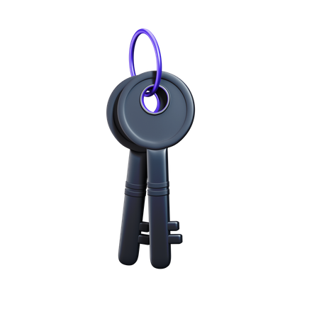 Crypto key  3D Illustration