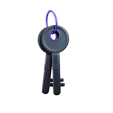 Crypto key  3D Illustration