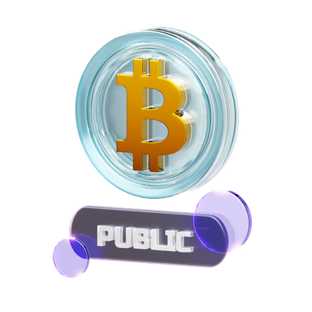 Crypto-public  3D Icon