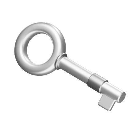 Cryptocurrency Key  3D Icon