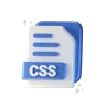 Css File