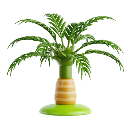 Cuban Royal Palm  3D Icon