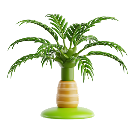 Cuban Royal Palm  3D Icon