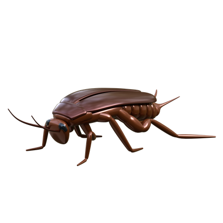 Cucaracha  3D Icon