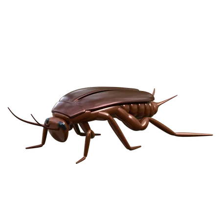 Cucaracha  3D Icon