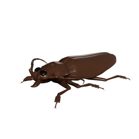 Cucaracha  3D Icon