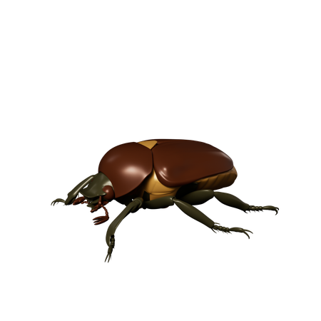 Cucaracha  3D Icon