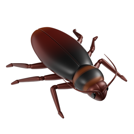 Cucaracha  3D Icon