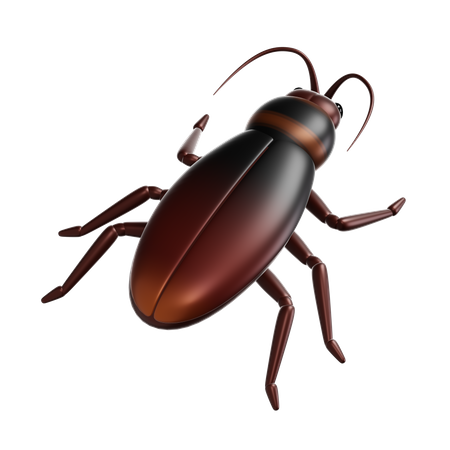 Cucaracha  3D Icon