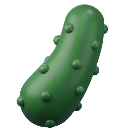 Cucumber  3D Icon