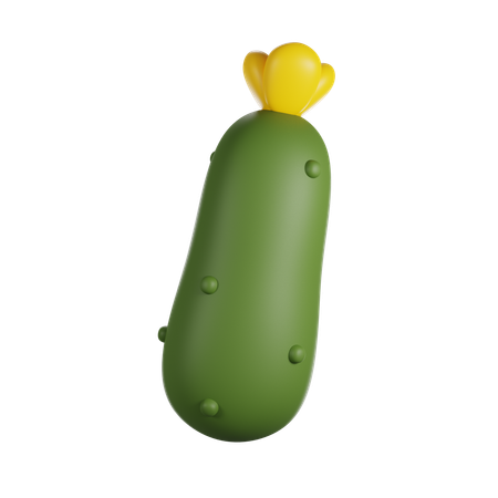 Cucumber  3D Icon