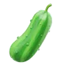 Cucumber