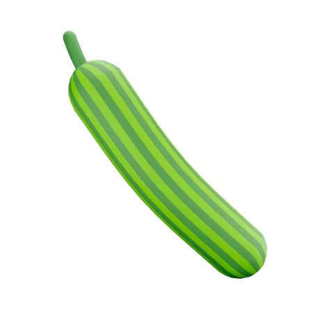 Cucumber  3D Illustration