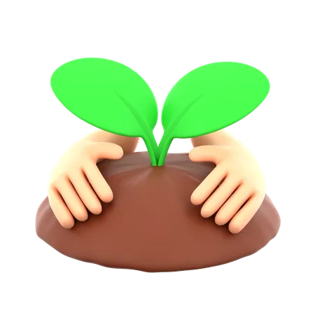 Cuidados com as plantas  3D Icon