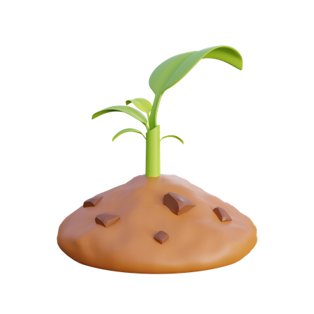 Crecer plantas  3D Icon